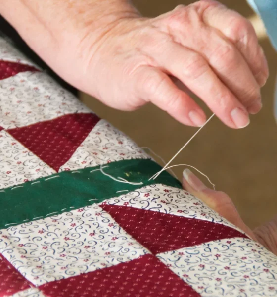 Quilting Materials and Techniques